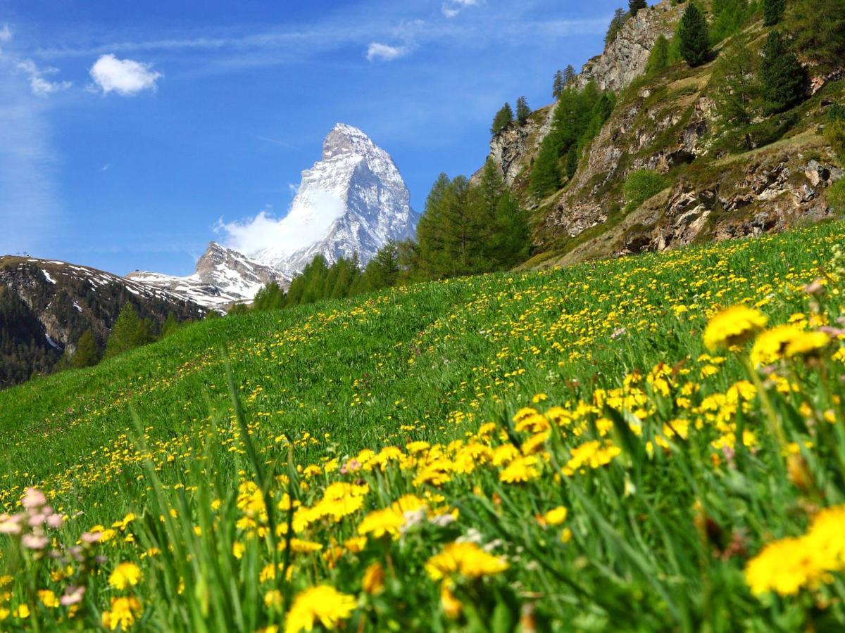 Apartment Select By Interhome Zermatt Ngoại thất bức ảnh